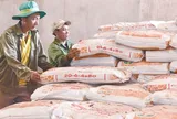 Ngành phân bón lãi kỷ lục