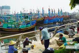 Bão số 15 diễn biến khó lường, hàng trăm tàu cá khẩn cấp vào bờ trú bão ở Phan Thiết
