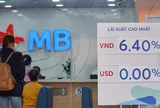 Lãi suất sẽ sớm hạ nhiệt