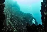 Nhấc một phiến đá lên từ độ sâu 2.515m, các nhà khoa học phát hiện "một thế giới không nên tồn tại"