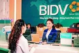 Nghị quyết 79-NQ/TW: Mở không gian cho ngân hàng thương mại Nhà nước vươn tầm