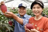 Loại quả được gọi là 'trứng của mặt trời' vừa được trồng thành công tại Việt Nam - có gì đặc biệt mà giá có thể lên tới 3.000 USD/cặp?