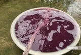 Vụ nước giếng khoan chuyển màu tím, hôi tanh: Kết quả xét nghiệm nhiều chỉ số vượt chuẩn hàng chục lần