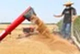 Không phải sầu riêng, Campuchia vừa đón tin cực vui ở mặt hàng đang cạnh tranh với Việt Nam - Trung Quốc góp công lớn