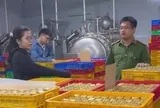 Triệt phá đường dây sản xuất nước yến, yến sào giả quy mô lớn