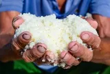 Diêm dân "rang mình" dưới nắng 40 độ, đổi lấy hơn 200 nghìn đồng mỗi ngày