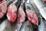 2 loại cá "dễ ngậm" thủy ngân, cái số một cực kỳ quen thuộc