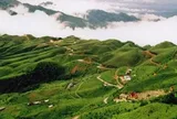 Nơi được mệnh danh là "lạnh nhất Việt Nam": Địa điểm hiếm hoi có tuyết, mùa hè cũng chỉ 16-21 độ, Sun Group sắp khởi công dự án 7.300 tỷ đồng