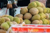 Buồn của đối thủ sầu riêng Việt Nam, Thái Lan: Nắm giữ loại sầu ngon nhất thế giới nhưng giá giảm 70%, nguyên nhân đến từ đâu?