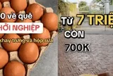 Mẹ đảm miền Tây nghỉ việc ở tuổi 32, mở tiệm nước bằng 6 triệu đồng: Lãi tháng đầu chưa tới 700.000 đồng nhưng bài học về dòng tiền mới đắt giá nhất