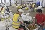 Thương lái Trung Quốc đến tận vườn gom mua một thứ, nhiều nông dân Campuchia đổi đời, đua nhau xây nhà mua xe