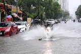 Dự báo thời tiết 1/7: Bắc Bộ mưa to xối xả, cảnh báo lũ quét và sạt lở đất