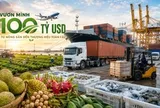 Một ngành hàng của Việt Nam đặt mục tiêu thu 100 tỷ USD năm 2027 - cần một 'tổng công trình sư'