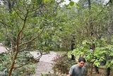 Biệt thự ngoại ô 4.000m² của "ông hoàng nhạc đỏ": Thứ đắt giá nhất không phải căn nhà