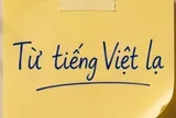 Một từ tiếng Việt chỉ 2 âm tiết nhưng khiến không ít người Việt phải tra Google mới hiểu nghĩa