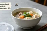 Con ruồi rơi vào bát canh: Chỉ là một con ruồi thôi, vớt ra rồi đun sôi lại là vẫn ăn được bình thường?