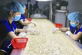 Hạt điều Việt và cuộc chuyển mình khỏi "lời nguyền gia công" - Kỳ 1: Thống lĩnh xuất khẩu, lép vế thương hiệu
