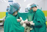 Hiếm gặp: Người phụ nữ Hà Nội sinh 3 hoàn toàn tự nhiên, xác suất chỉ 1/100.000