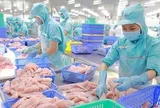 Giữa tháng 7, thu ngân sách nhà nước hoàn thành 65,5% dự toán