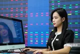 Sau nhịp bán tháo, VN-Index được kỳ vọng bước vào vùng tích lũy