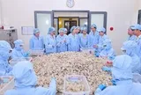 Trung ương Hội Liên hiệp Phụ nữ Việt Nam làm việc tại Yến sào Khánh Hòa