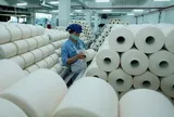 Sợi Thế Kỷ báo lỗ gần 73 tỷ đồng sau 6 tháng