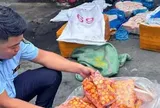 Phát hiện xe tải chở gần 17 tấn trứng non, lòng heo... không rõ nguồn gốc