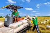 Nợ vay của Xuất nhập khẩu Kiên Giang tăng gấp 5 lần sau nửa đầu năm 2026
