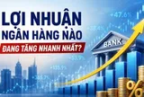 Những ngân hàng đang tăng trưởng lợi nhuận nhanh nhất: Nhiều nhà băng tăng theo cấp số nhân, xuất hiện mức lãi cao nhất lịch sử