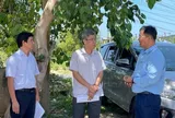 Lâm Đồng: “Bám công trường, bù tiến độ” các dự án ven biển