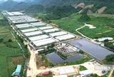 Tỉnh Thanh Hóa vào cuộc vụ sông Ngang chuyển màu đen