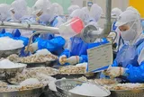 Những cú bẻ lái lợi nhuận của doanh nghiệp thủy sản trong quý II/2026