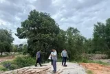 Thanh tra chỉ ra hàng trăm ha đất rừng tại Phú Quốc bị lấn chiếm