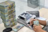 Ngành ngân hàng nửa đầu năm 2026: Tín dụng tăng 8,7%, nhưng nợ xấu đang “gõ cửa”