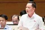 Đại biểu Quốc hội đề nghị định danh hành vi thao túng thị trường bất động sản