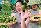 Khu vườn ngập trái cây trong căn nhà phố rộng 100m2 của Diệp Bảo Ngọc