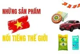 Từ Cao Sao Vàng, gạo ST25 đến VinFast: Những thương hiệu Việt Nam được thế giới biết tới ra sao?