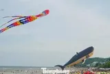 Xuất hiện 'con vật khổng lồ' trên bãi biển Sầm Sơn