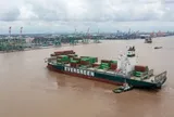 Viconship lên kế hoạch tăng vốn điều lệ vượt 5.800 tỷ đồng