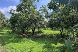 Mua thêm 300m2 đất vườn liền kề 360m2 đất thổ cư từ 11 năm trước nhưng chỉ có giấy viết tay, làm sao để được cấp sổ đỏ?