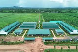Thaco Agri của tỷ phú Trần Bá Dương được định giá gần 21.000 tỷ đồng
