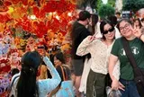 Phố Hàng Mã trước thềm Trung thu: Đèn ông sao, đầu lân phủ kín, người lớn chen chân đưa trẻ đi chơi