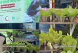 Chuỗi nướng A Choén bất ngờ tính tiền rau 9.000 đồng/rổ, ông chủ nói gì?