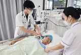 Gai hoa giấy đâm vào chân, cụ bà 71 tuổi nguy kịch