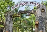 Thanh tra Chính phủ xác định HTX Suối Ngọc - Vua Bà bị buộc giải thể không đúng luật