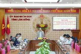 Lâm Đồng thúc tiến loạt dự án năng lượng, đường dây 500kV hơn 9.100 tỷ đồng