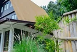10 loại cây chớ nên trồng sát cửa nhà