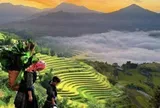 Phát hiện dân tộc hơn 15.000 người ở Việt Nam ăn Tết vào tháng Bảy âm lịch, sở hữu ruộng bậc thang top 51 điểm đến đẹp nhất thế giới