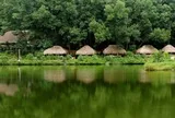 Việt Nam có 1 ngôi làng gần 200 người "ăn chung nồi cơm, tiêu chung túi tiền": Xanh mát như ốc đảo, được công nhận "Làng du lịch tốt nhất thế giới"