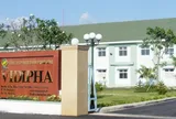 Vidipha tăng vốn lên hơn 320 tỷ đồng, loạt cổ đông lớn thay đổi